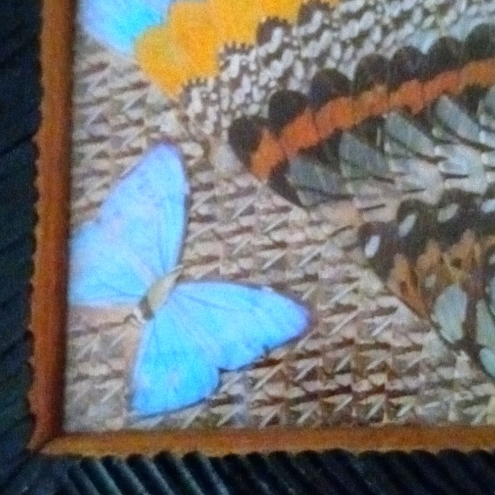Antique Brizilian butterfly solid wood serving tray & glass